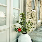 Paolas τown Boutique Mykonos Town